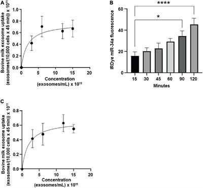 Small Extracellular Vesicles in Milk Cross the Blood-Brain Barrier in Murine Cerebral Cortex Endothelial Cells and Promote Dendritic Complexity in the Hippocampus and Brain Function in C57BL/6J Mice